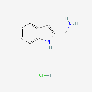 molecular formula C9H11ClN2 B2808082 (1H-Indol-2-yl)methanamine hydrochloride CAS No. 1159692-99-5