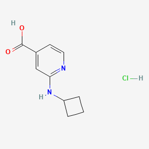 2-(Cyclobutylamino)pyridine-4-carboxylic acid hydrochloride