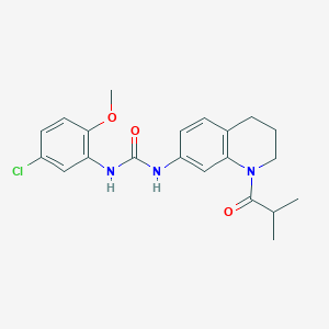 molecular formula C21H24ClN3O3 B2809169 1-(5-Chloro-2-methoxyphenyl)-3-(1-isobutyryl-1,2,3,4-tetrahydroquinolin-7-yl)urea CAS No. 1203300-09-7