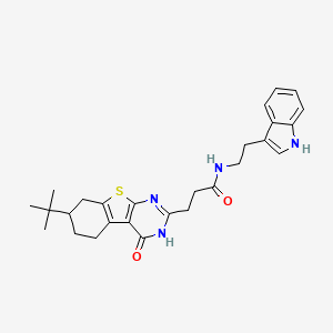 3-(7-tert-butyl-4-oxo-3,4,5,6,7,8-hexahydro[1]benzothieno[2,3-d]pyrimidin-2-yl)-N-[2-(1H-indol-3-yl)ethyl]propanamide