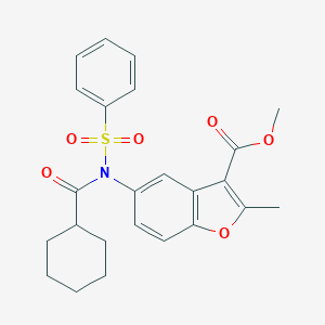 molecular formula C24H25NO6S B281114 METHYL 5-[N-(BENZENESULFONYL)CYCLOHEXANEAMIDO]-2-METHYL-1-BENZOFURAN-3-CARBOXYLATE 