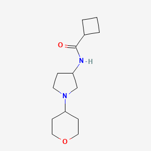 N-[1-(Oxan-4-yl)pyrrolidin-3-yl]cyclobutanecarboxamide
