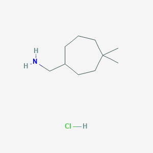 molecular formula C10H22ClN B2812809 (4,4-二甲基环庚基)甲胺盐酸盐 CAS No. 2248417-90-3