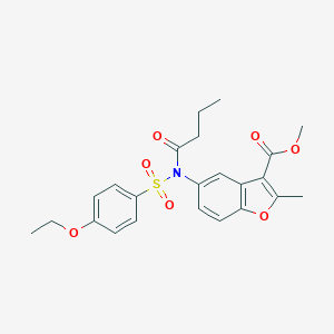 molecular formula C23H25NO7S B281397 METHYL 5-[N-(4-ETHOXYBENZENESULFONYL)BUTANAMIDO]-2-METHYL-1-BENZOFURAN-3-CARBOXYLATE 