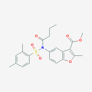 molecular formula C23H25NO6S B281451 METHYL 5-[N-(2,4-DIMETHYLBENZENESULFONYL)BUTANAMIDO]-2-METHYL-1-BENZOFURAN-3-CARBOXYLATE 