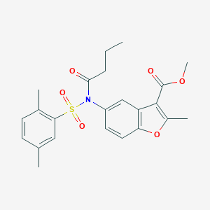 molecular formula C23H25NO6S B281465 METHYL 5-[N-(2,5-DIMETHYLBENZENESULFONYL)BUTANAMIDO]-2-METHYL-1-BENZOFURAN-3-CARBOXYLATE 