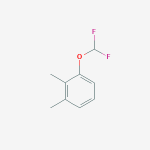 molecular formula C9H10F2O B2817006 1-(Difluoromethoxy)-2,3-dimethylbenzene CAS No. 1226388-07-3