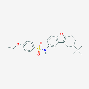molecular formula C24H29NO4S B281704 N-(8-tert-butyl-6,7,8,9-tetrahydrodibenzo[b,d]furan-2-yl)-4-ethoxybenzenesulfonamide CAS No. 4323-98-2