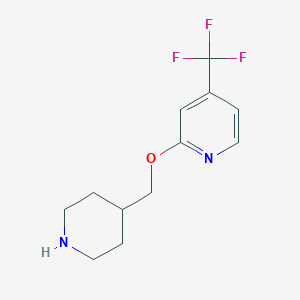 molecular formula C12H15F3N2O B2819789 2-(Piperidin-4-ylmethoxy)-4-(trifluoromethyl)pyridine CAS No. 1428233-91-3