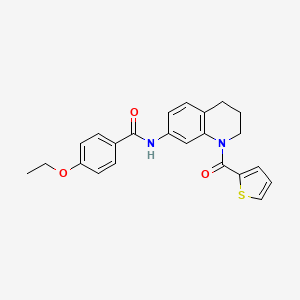 B2821555 4-ethoxy-N-[1-(thiophene-2-carbonyl)-3,4-dihydro-2H-quinolin-7-yl]benzamide CAS No. 946320-40-7