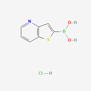 molecular formula C7H7BClNO2S B2821907 Thieno[3,2-b]pyridin-2-ylboronic acid;hydrochloride CAS No. 1416853-87-6