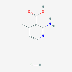 molecular formula C7H9ClN2O2 B2822671 2-Amino-4-methylpyridine-3-carboxylic acid hydrochloride CAS No. 2094898-42-5
