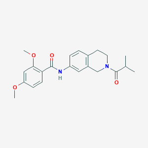 N-(2-isobutyryl-1,2,3,4-tetrahydroisoquinolin-7-yl)-2,4-dimethoxybenzamide