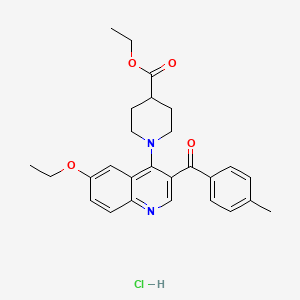Ethyl 1-[6-ethoxy-3-(4-methylbenzoyl)quinolin-4-yl]piperidine-4-carboxylate hydrochloride