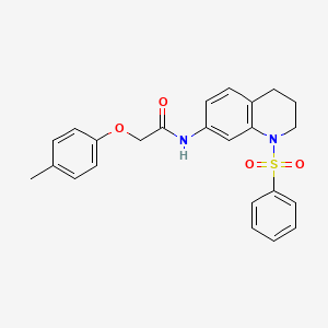 molecular formula C24H24N2O4S B2823955 N-[1-(benzenesulfonyl)-1,2,3,4-tetrahydroquinolin-7-yl]-2-(4-methylphenoxy)acetamide CAS No. 1005299-72-8