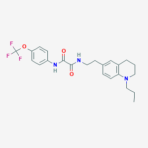 molecular formula C23H26F3N3O3 B2827059 N-[2-(1-propyl-1,2,3,4-tetrahydroquinolin-6-yl)ethyl]-N'-[4-(trifluoromethoxy)phenyl]ethanediamide CAS No. 955594-64-6