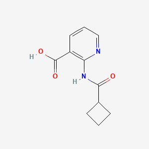 molecular formula C11H12N2O3 B2830366 2-Cyclobutaneamidopyridine-3-carboxylic acid CAS No. 1342989-24-5