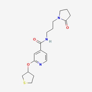molecular formula C17H23N3O3S B2834816 N-[3-(2-oxopyrrolidin-1-yl)propyl]-2-(thiolan-3-yloxy)pyridine-4-carboxamide CAS No. 2034428-63-0