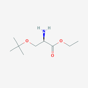 molecular formula C9H19NO3 B2835343 ethyl (2R)-2-amino-3-(tert-butoxy)propanoate CAS No. 2159100-96-4