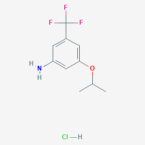 molecular formula C10H13ClF3NO B2836448 3-Propan-2-yloxy-5-(trifluoromethyl)aniline;hydrochloride CAS No. 2260936-43-2