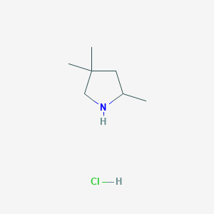 2,4,4-Trimethylpyrrolidine hydrochloride