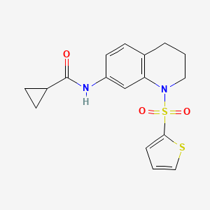 molecular formula C17H18N2O3S2 B2840012 N-[1-(thiophene-2-sulfonyl)-1,2,3,4-tetrahydroquinolin-7-yl]cyclopropanecarboxamide CAS No. 898413-75-7