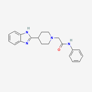 2-(4-(1H-benzo[d]imidazol-2-yl)piperidin-1-yl)-N-phenylacetamide