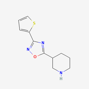 molecular formula C11H13N3OS B2840562 3-[3-(Thiophen-2-yl)-1,2,4-oxadiazol-5-yl]piperidine CAS No. 1036568-67-8