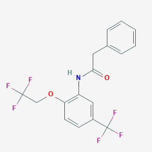 molecular formula C17H13F6NO2 B284125 2-phenyl-N-(2-(2,2,2-trifluoroethoxy)-5-(trifluoromethyl)phenyl)acetamide 
