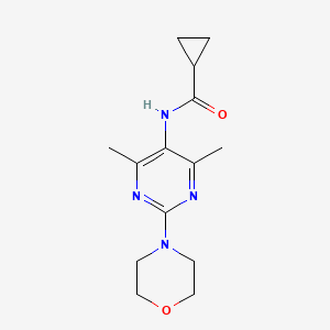 molecular formula C14H20N4O2 B2841454 N-(4,6-dimethyl-2-morpholinopyrimidin-5-yl)cyclopropanecarboxamide CAS No. 1448124-72-8