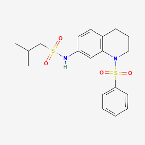 molecular formula C19H24N2O4S2 B2842508 N-[1-(benzenesulfonyl)-1,2,3,4-tetrahydroquinolin-7-yl]-2-methylpropane-1-sulfonamide CAS No. 1170480-35-9