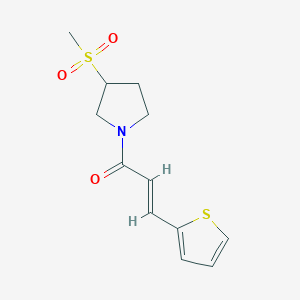 molecular formula C12H15NO3S2 B2842682 (E)-1-(3-(methylsulfonyl)pyrrolidin-1-yl)-3-(thiophen-2-yl)prop-2-en-1-one CAS No. 1448139-07-8