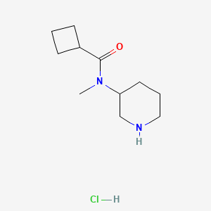 molecular formula C11H21ClN2O B2843305 N-methyl-N-(piperidin-3-yl)cyclobutanecarboxamide hydrochloride CAS No. 2548984-95-6