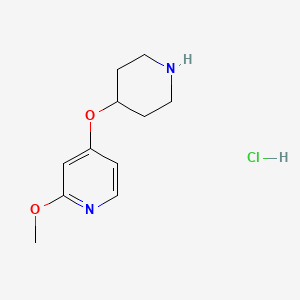 molecular formula C11H17ClN2O2 B2843421 2-Methoxy-4-(piperidin-4-yloxy)pyridinehydrochloride CAS No. 1707358-63-1