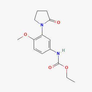 molecular formula C14H18N2O4 B2843457 ethyl N-[4-methoxy-3-(2-oxopyrrolidin-1-yl)phenyl]carbamate CAS No. 922904-38-9