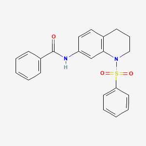 molecular formula C22H20N2O3S B2843532 N-[1-(benzenesulfonyl)-1,2,3,4-tetrahydroquinolin-7-yl]benzamide CAS No. 1005301-65-4