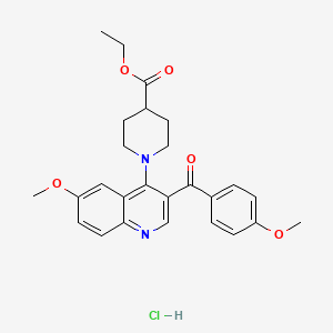 Ethyl 1-[6-methoxy-3-(4-methoxybenzoyl)quinolin-4-yl]piperidine-4-carboxylate hydrochloride