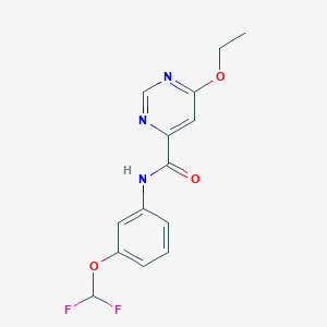 molecular formula C14H13F2N3O3 B2843603 N-[3-(difluoromethoxy)phenyl]-6-ethoxypyrimidine-4-carboxamide CAS No. 2034363-87-4