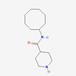 N-cyclooctylpiperidine-4-carboxamide