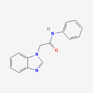 2-(1H-1,3-benzodiazol-1-yl)-N-phenylacetamide
