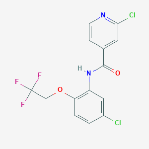 2-chloro-N-[5-chloro-2-(2,2,2-trifluoroethoxy)phenyl]pyridine-4-carboxamide