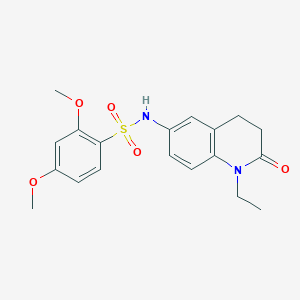 molecular formula C19H22N2O5S B2846787 N-(1-ethyl-2-oxo-1,2,3,4-tetrahydroquinolin-6-yl)-2,4-dimethoxybenzene-1-sulfonamide CAS No. 922079-81-0