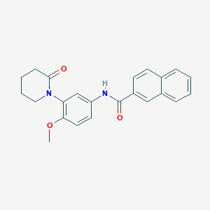 N-[4-methoxy-3-(2-oxopiperidin-1-yl)phenyl]naphthalene-2-carboxamide