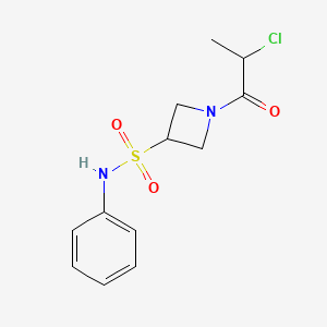 molecular formula C12H15ClN2O3S B2849409 1-(2-Chloropropanoyl)-N-phenylazetidine-3-sulfonamide CAS No. 2411260-71-2