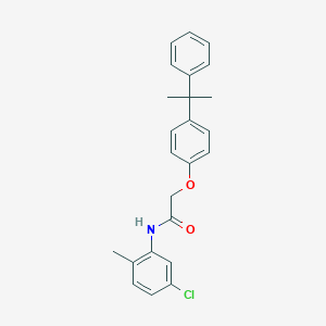 molecular formula C24H24ClNO2 B285203 N-(5-chloro-2-methylphenyl)-2-[4-(2-phenylpropan-2-yl)phenoxy]acetamide 
