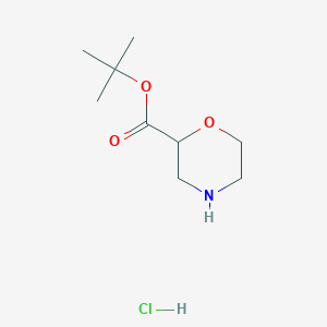 molecular formula C9H18ClNO3 B2852282 Tert-butyl morpholine-2-carboxylate;hydrochloride CAS No. 2490430-35-6