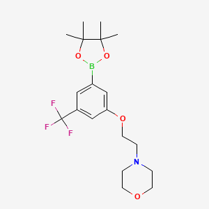 3-(2-Morpholinoethoxy)-5-(trifluoromethyl)phenylboronic acid, pinacol ester