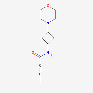 N-(3-Morpholin-4-ylcyclobutyl)but-2-ynamide