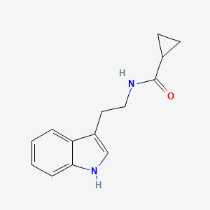 molecular formula C14H16N2O B2853371 N-[2-(1H-indol-3-yl)ethyl]cyclopropanecarboxamide CAS No. 156997-88-5