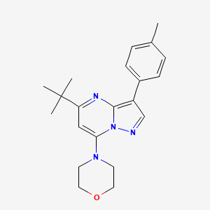 molecular formula C21H26N4O B2855037 4-[5-Tert-butyl-3-(4-methylphenyl)pyrazolo[1,5-a]pyrimidin-7-yl]morpholine CAS No. 902334-12-7